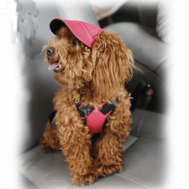 Dog Baseball Cap Outdoor Pet Sun Hat Summer Canvas Visor Puppy S Size - Flower