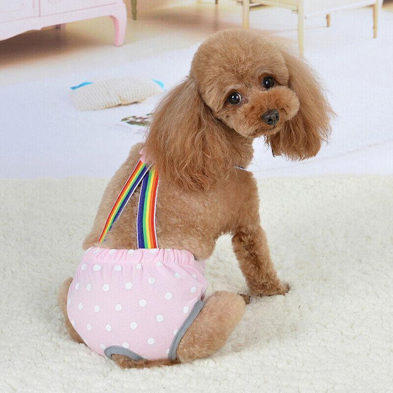 Female Pet Dog Cat Puppy Pant Menstrual Sanitary Nappy Diaper Wrap Underwear Blue - XL