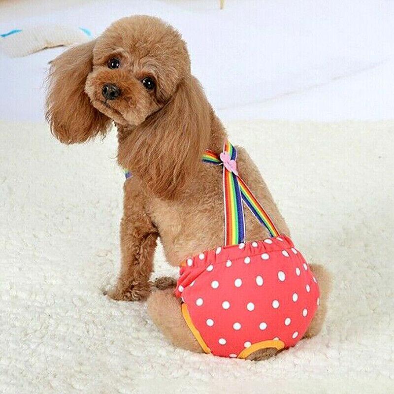 Female Pet Dog Cat Puppy Pant Menstrual Sanitary Nappy Diaper Wrap Underwear Blue - XL