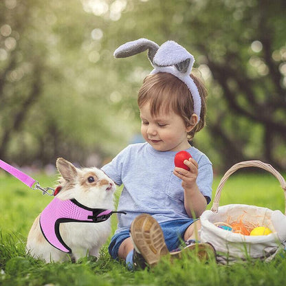 Rabbit Vest Harness Leash Lead Small Animal Pet Mesh Hamster Bunny Traction Rope L - Blue