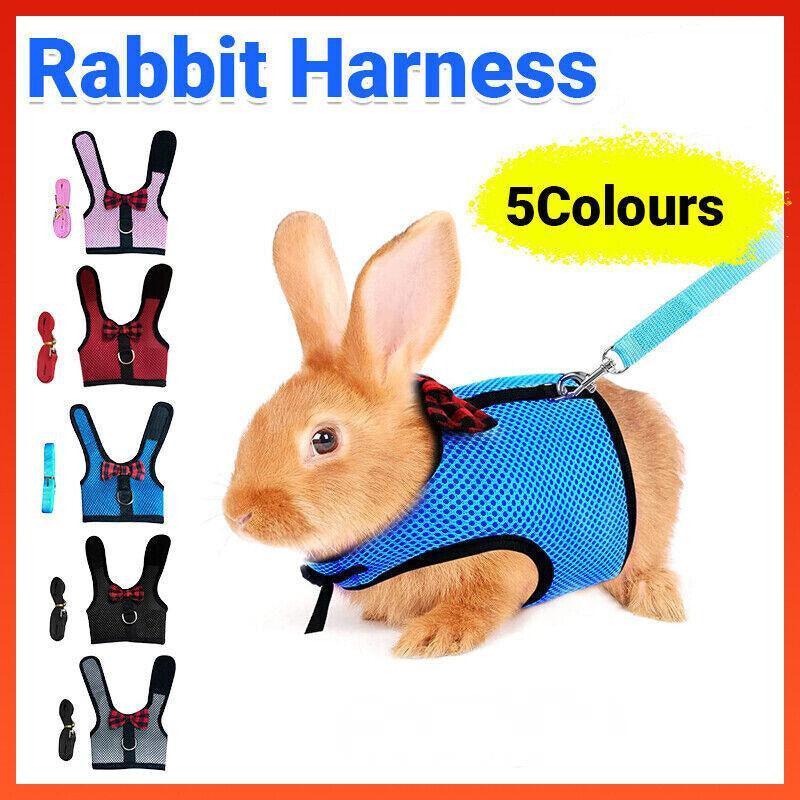 Rabbit Vest Harness Leash Lead Small Animal Pet Mesh Hamster Bunny Traction Rope M - Red