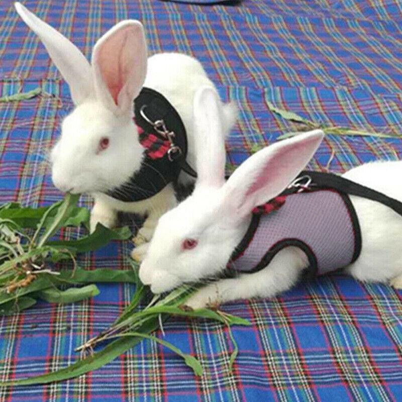 Rabbit Vest Harness Leash Lead Small Animal Pet Mesh Hamster Bunny Traction Rope M - Red