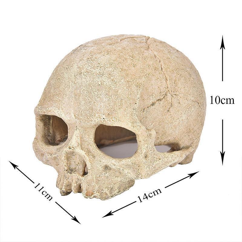 Artificial Fake Skull Head Bone Aquarium Ornament Fish Tank Decoration - Hat.