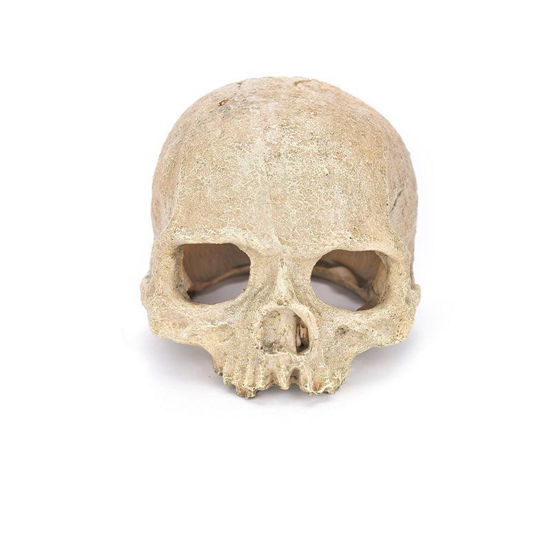 Artificial Fake Skull Head Bone Aquarium Ornament Fish Tank Decoration - Hat.