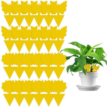 10X Dual Sided Sticky Trap Insect Killer Whitefly Thrip Fruit Fly Gnat - Butterfly 50PCS