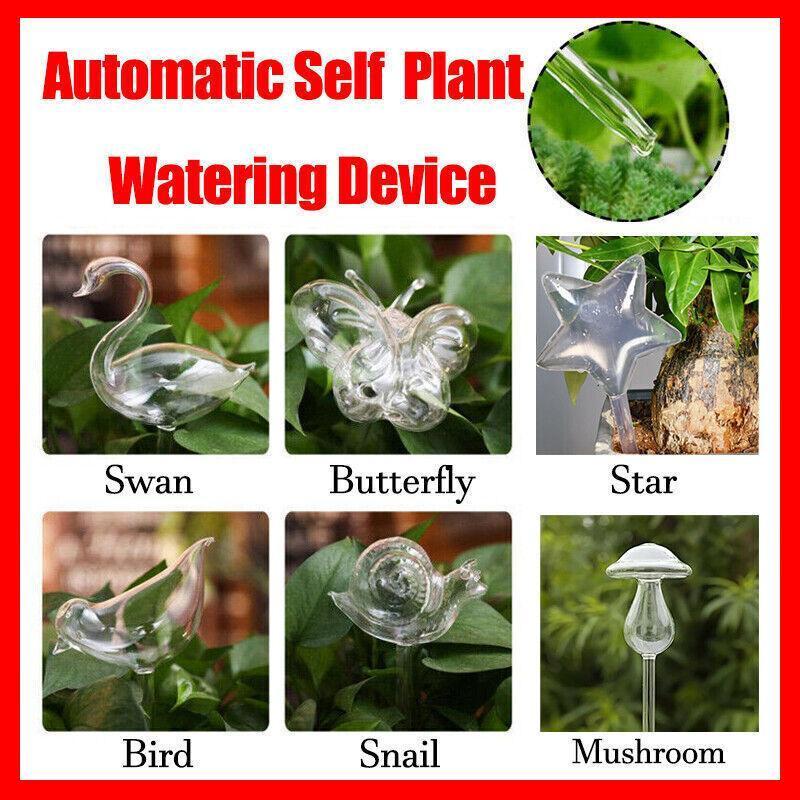 Automatic Self Plant Watering Glass Bulbs Water Feeder Indoor Irrigation Outdoor - Pentagram.
