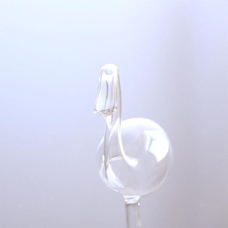 Automatic Self Plant Watering Glass Bulbs Water Feeder Indoor Irrigation Outdoor - Snail.