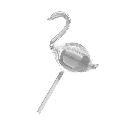 Automatic Self Plant Watering Glass Bulbs Water Feeder Indoor Irrigation Outdoor - Snail.