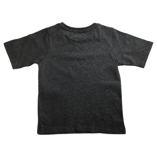 KIDS PLAIN T SHIRT Childrens Child 100% COTTON Boys Girls Basic Blank Tee Top - Grey Marle - 12