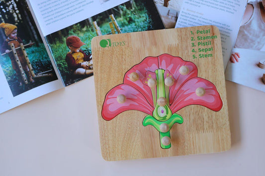 Montessori Parts of a Flower Puzzle.