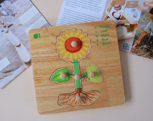 Montessori Parts of a Plant Puzzle.