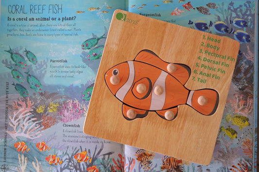 Montessori Fish Knob Puzzle.