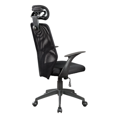 Ergonomic Mesh Office Chair.