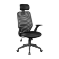 Ergonomic Mesh Office Chair.
