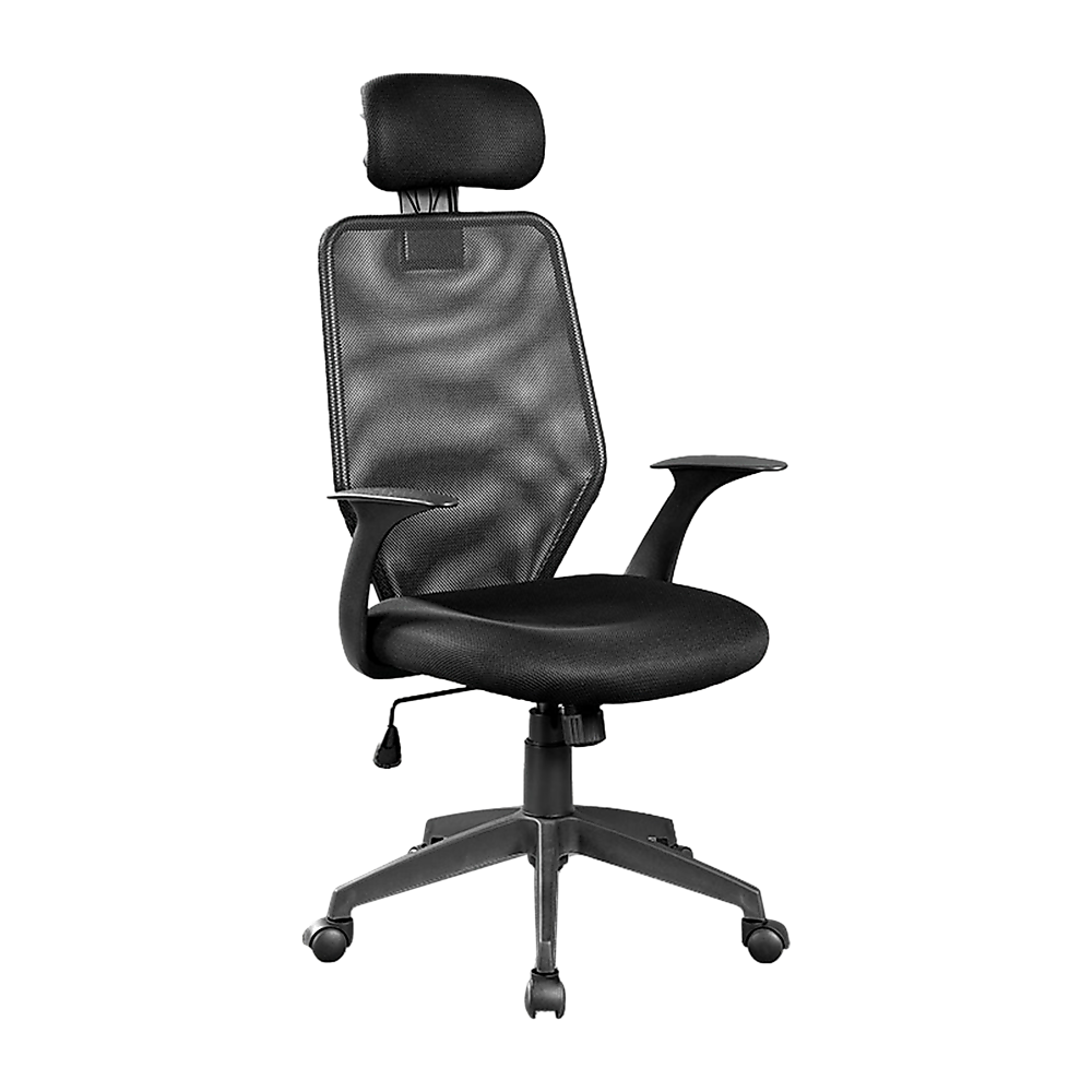 Ergonomic Mesh Office Chair.