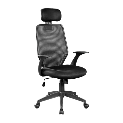 Ergonomic Mesh Office Chair.