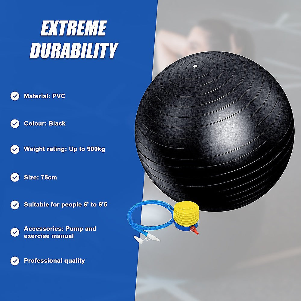 75cm Static Strength Exercise Stability Ball with Pump.