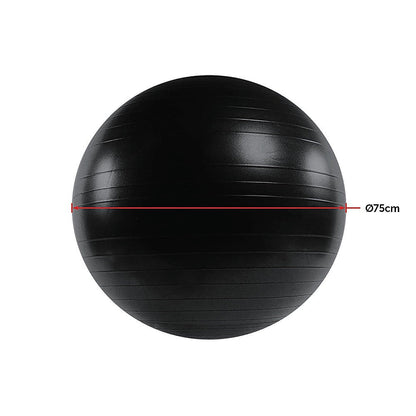 75cm Static Strength Exercise Stability Ball with Pump.