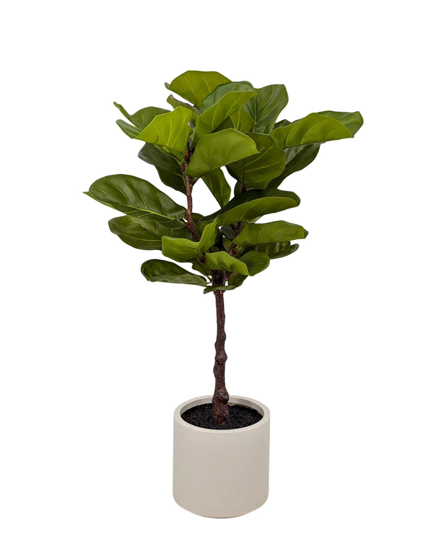 Artificial Real Touch Fiddleleaf Tree 100cm.