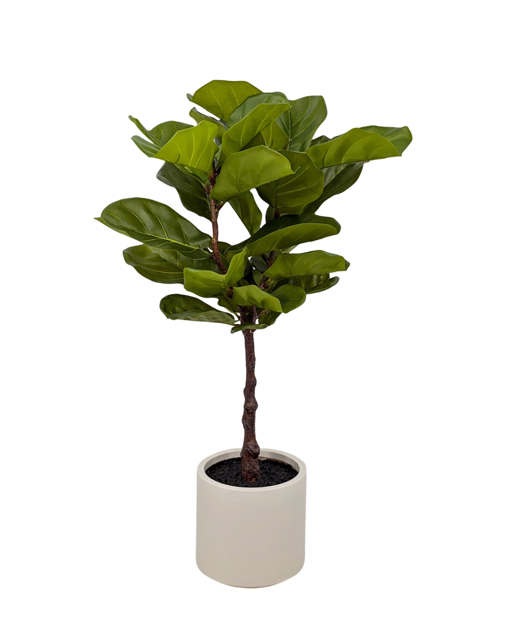 Artificial Real Touch Fiddleleaf Tree 100cm.