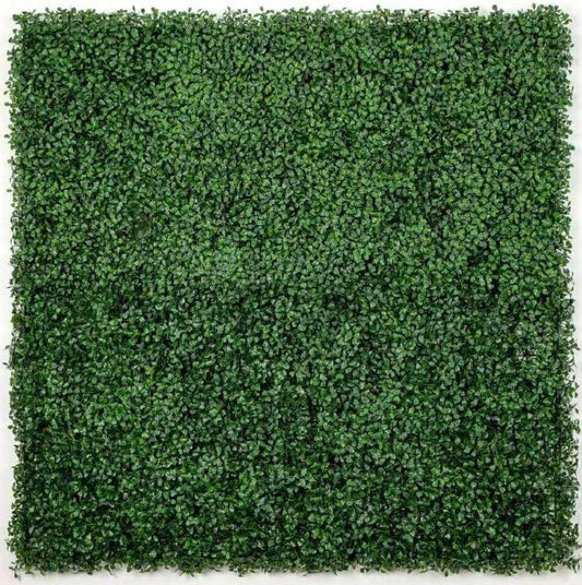 Boxwood Hedge Screen Green Wall Panel UV Resistant 100cm x 100cm.