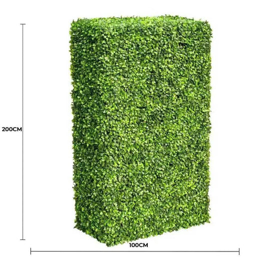Large Portable Mixed Boxwood Hedge UV Resistant 100cm Long x 200cm High.