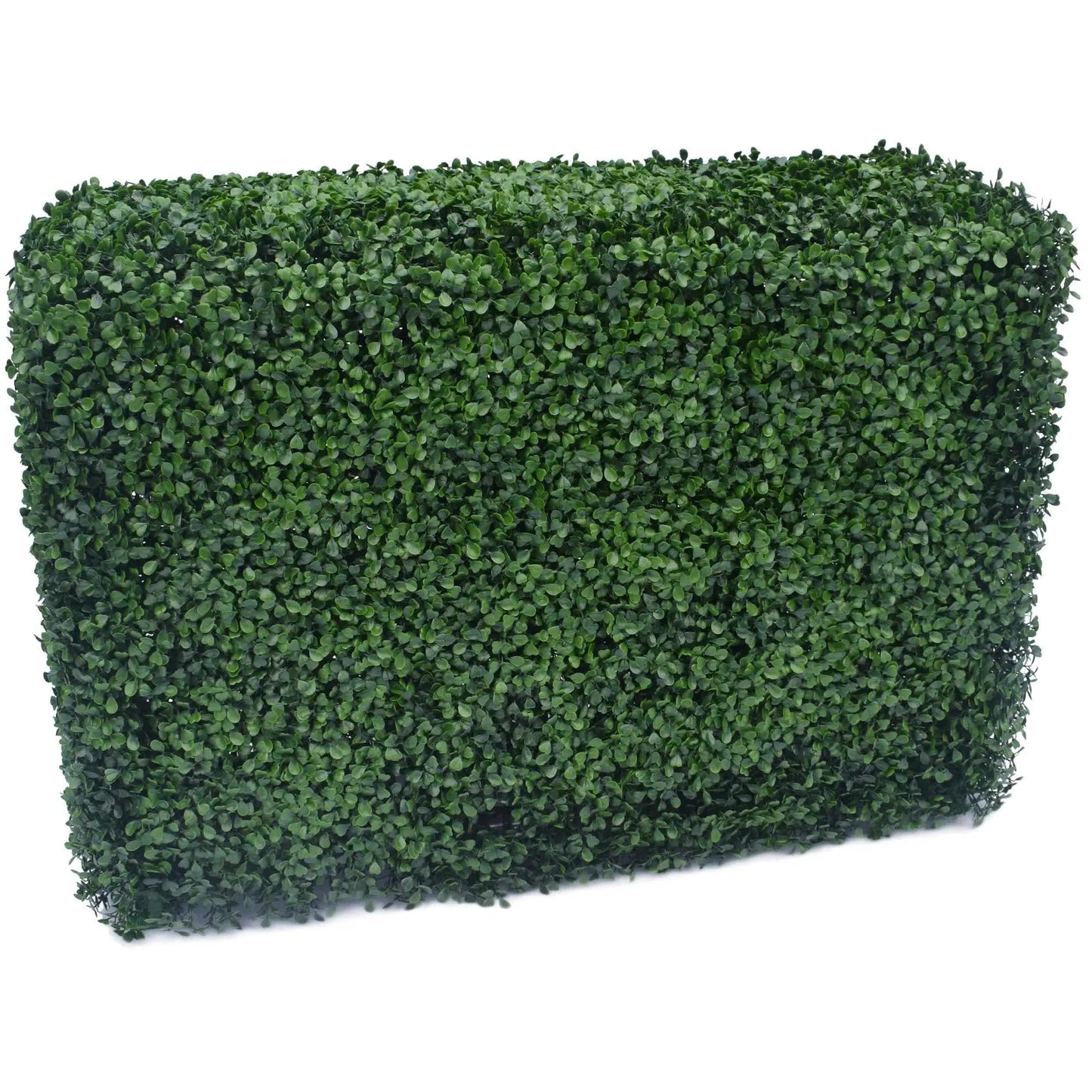 Portable Artificial Boxwood Hedge UV Resistant 75cm High 100cm Long.