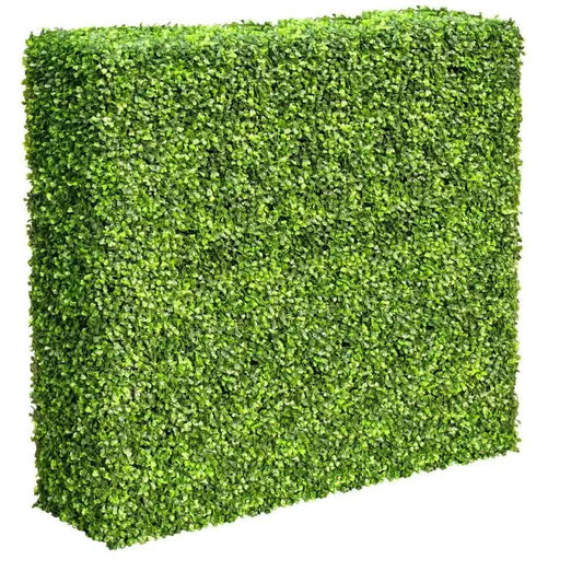 Mixed Boxwood Hedge UV Resistant 75cm Long x 75cm High.