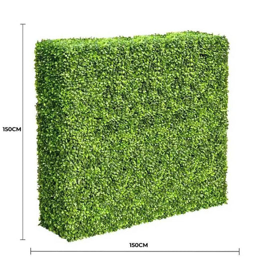 Large Portable Mixed Boxwood Hedge 1.5m by 1.5m UV Resistant.