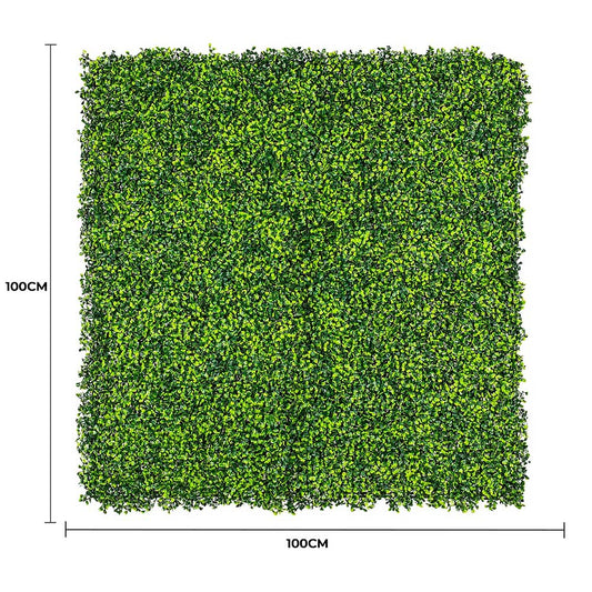Mixed Boxwood Hedge Panels / Screens UV Resistant 1m X 1m.