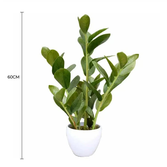 60cm Artificial Potted Zanzibar.