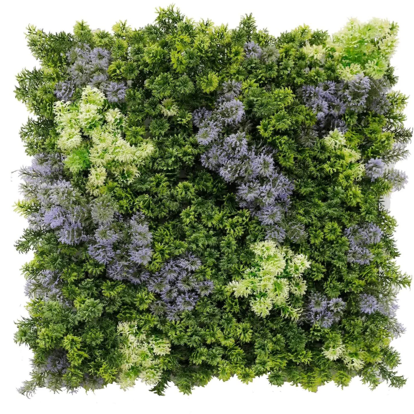 Vivid Purple and Green Moss Panel UV Resistant 100cm x 100cm (Back Order Only).