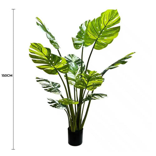 Premium Artificial Potted Monstera Albo 150cm.