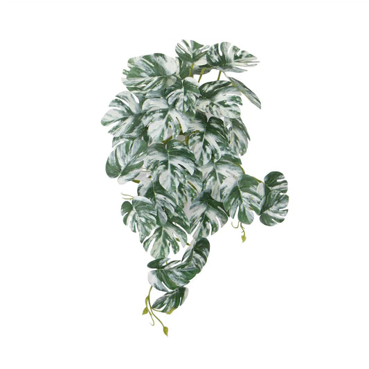 Artificial White & Green Monstera Albo Variegata 45cm