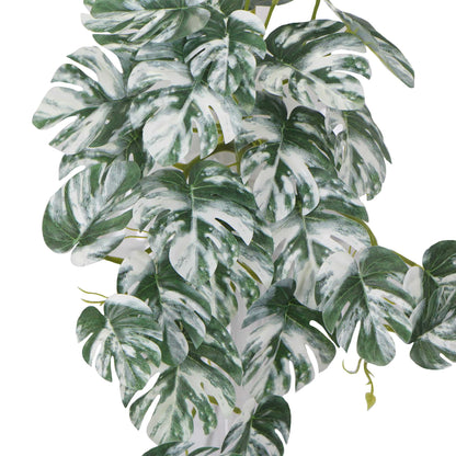 Artificial White & Green Monstera Albo Variegata 45cm