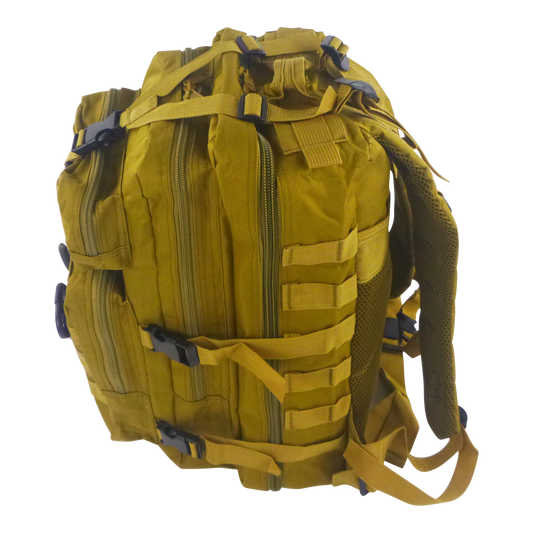 BSTC Fishers Back Pack, Tan.