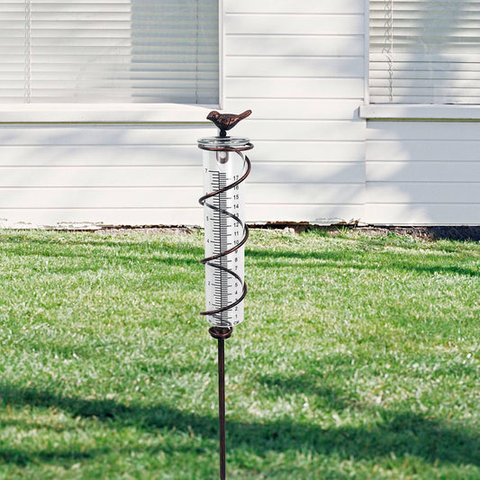 Decorative Garden Rain Gauge â Glass Rain Meter with Metal Stake and Bird Design.