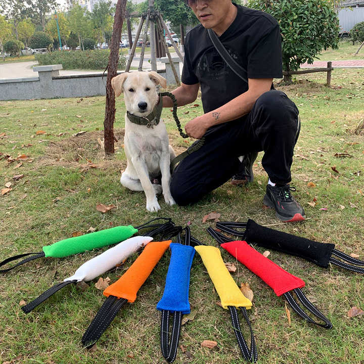 Green Durable 2-Pack Tug-of-War Dog Training Toy - Tear-Resistant, Safe & Interactive for All Breeds