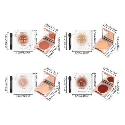 Professional Concealer with Long-Lasting Coverage(Light skin tone)