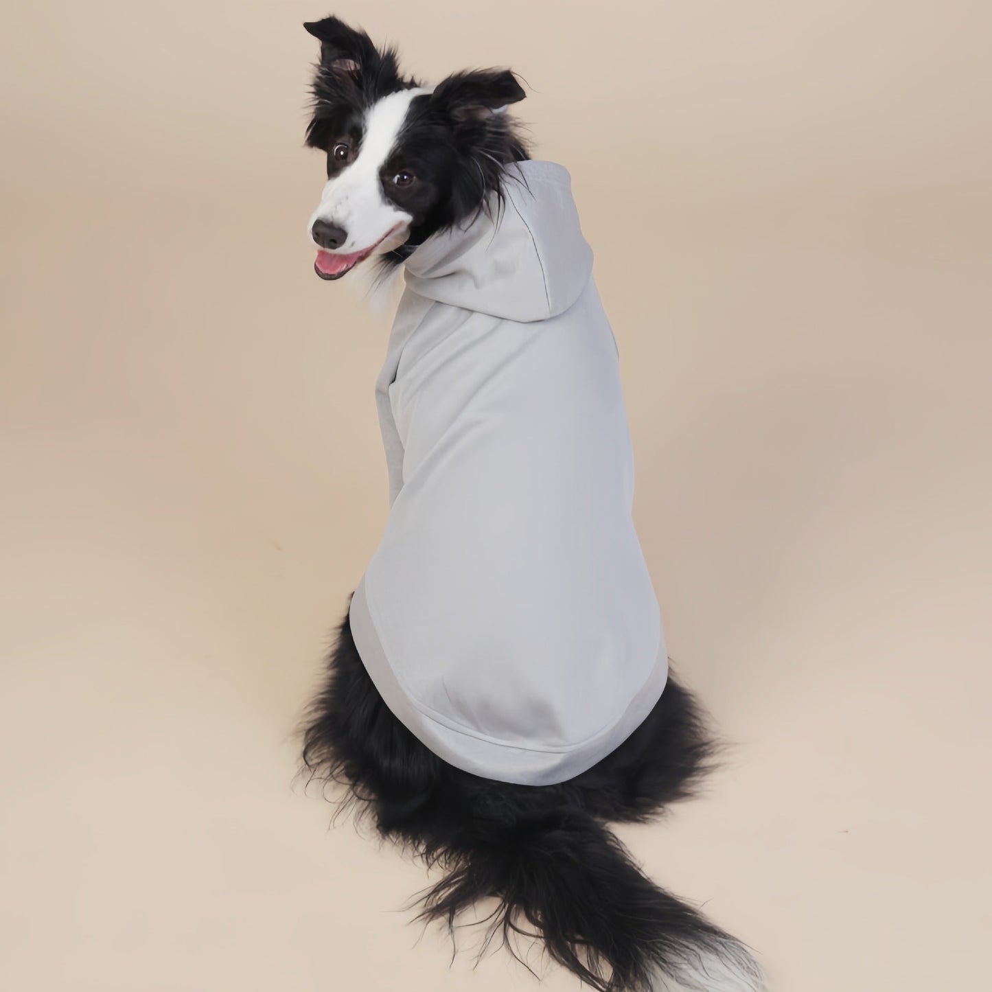 Grey Classic Dog Sweatshirt with Hood & Drawstrings - For Large Dogs (Size : 2XL)