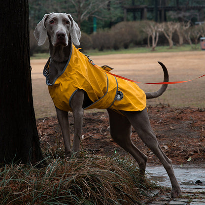 60# Yellow Waterproof Reflective Dog Raincoat for Small to Large Dogs