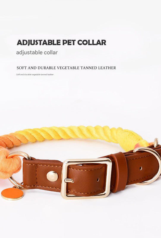 Premium Leather Pet Collar and Leash - Soft, Strong Braided Rope (Purple - Size M)