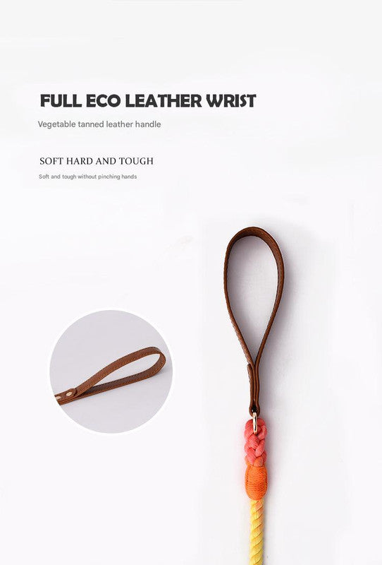 Premium Leather Pet Collar and Leash - Soft, Strong Braided Rope (Dark gray - Size L)
