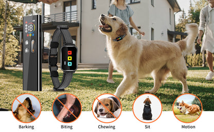 Rechargeable Dog Training Collar with Remote - 2600ft Range, 3 Modes(black)