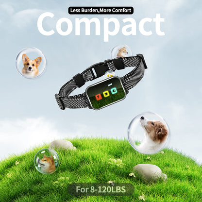 Rechargeable Dog Training Collar with Remote - 2600ft Range, 3 Modes(black)