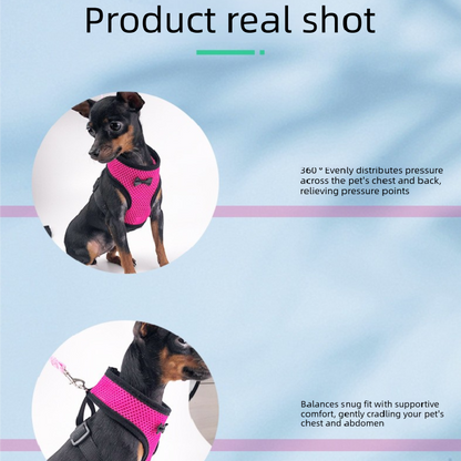 2-Pcs Blue Adjustable Pet Harness with Leash – Breathable Mesh Design for Small Dogs, Cats, Chickens, Ducks & More | Anti-Escape, 360° Support, Lightweight & Comfortable in Australia(Size:S)