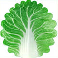 Cute Cabbage-Shaped Fleece Blanket – Fun and Cozy Throw for Naps, Office Use, Air Conditioning, or Baby Swaddling (Green & White)(120cm*120cm)
