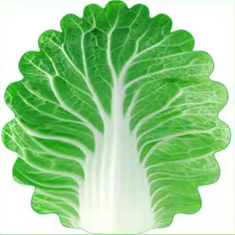 Cute Cabbage-Shaped Fleece Blanket – Fun and Cozy Throw for Naps, Office Use, Air Conditioning, or Baby Swaddling (Green & White)(150cm*150cm)
