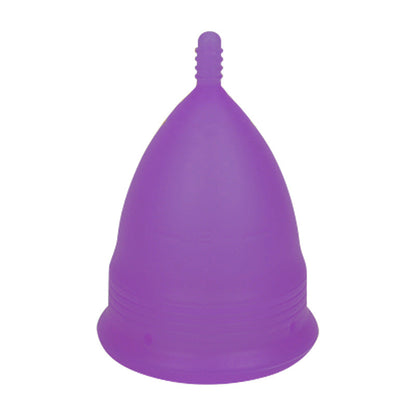 2PCS Reusable Medical Grade Silicone Menstrual Cup(XS Size) & 2PCS Matching Sterilizer Box - Microwave Safe Disinfector Case, Heat Resistant 130°C (Purple Set)