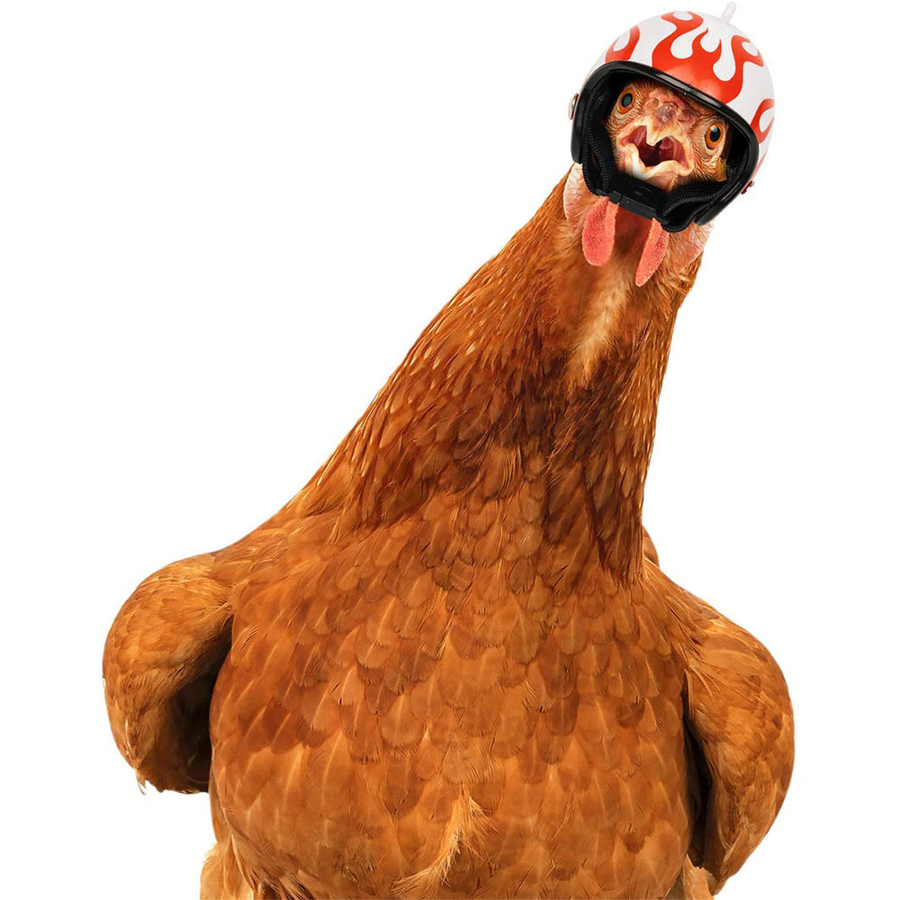 Red Pet Chicken Helmet Set of 3 – Protective Headgear for Chicks, Hens, and Birds